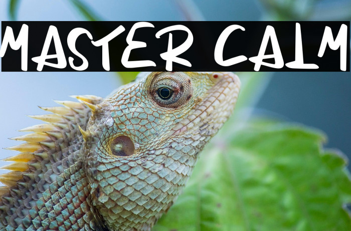 Master Calm Example 1