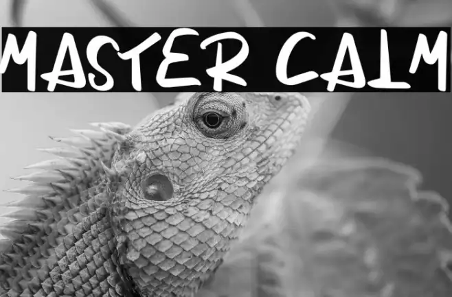Master Calm Example 1