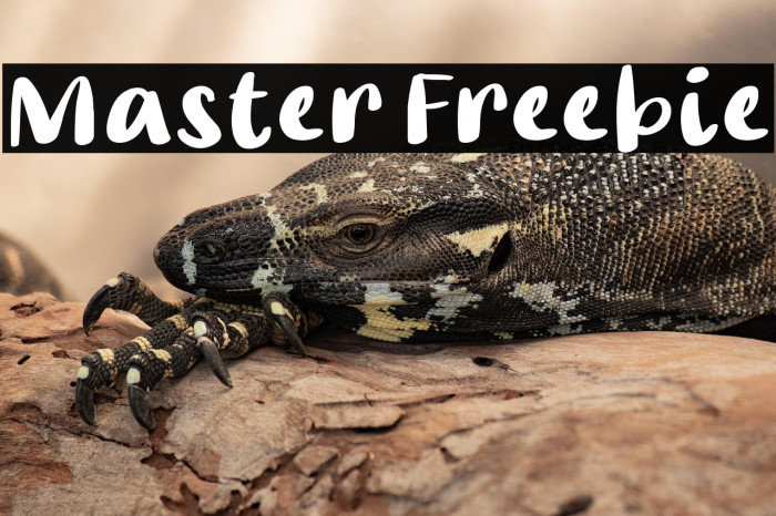 Master Freebie Example 1