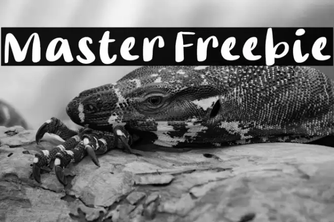 Master Freebie Font examples