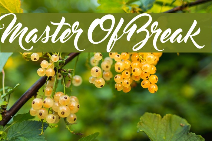 Master Of Break Example 1