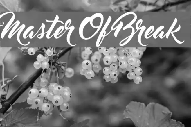 Master Of Break Example 1