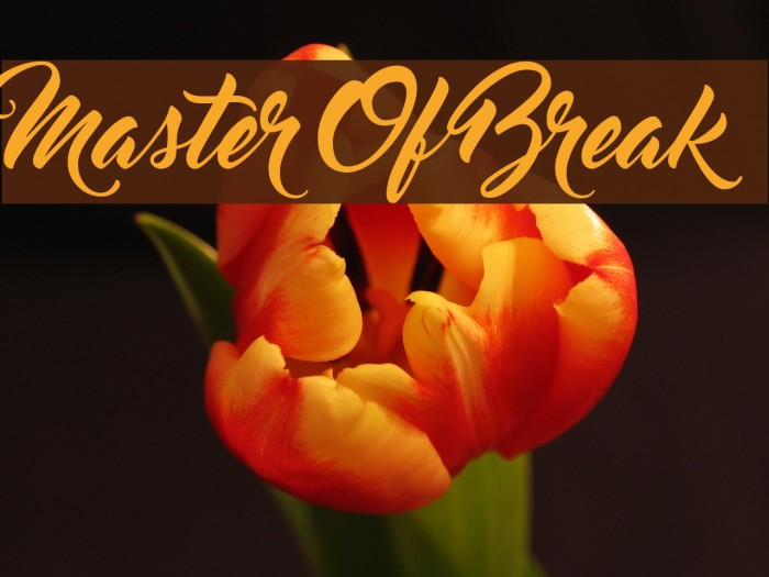 Master Of Break Example 2