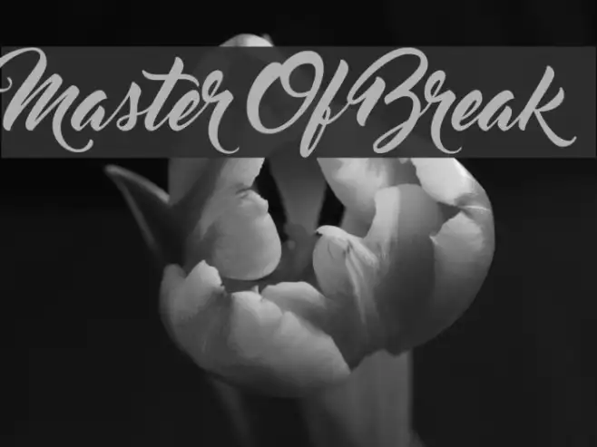 Master Of Break Example 2
