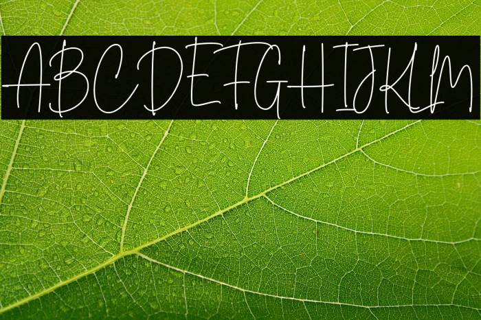 Master Photograph Example 2