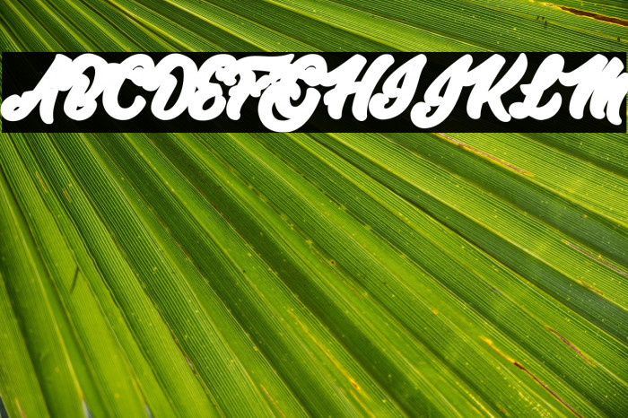 Master of Comics Back Personal Use  Example 1