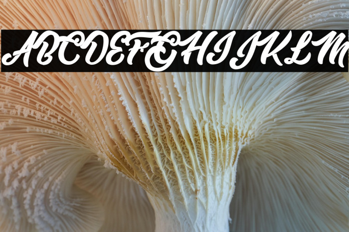 Master of Comics Personal Use  Example 2