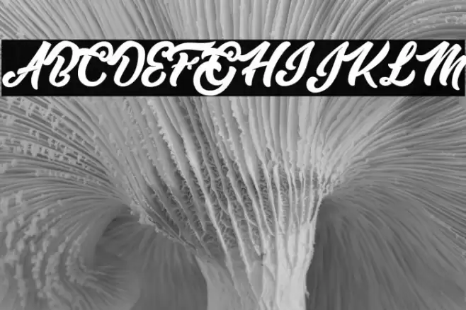 Master of Comics Personal Use  Font examples