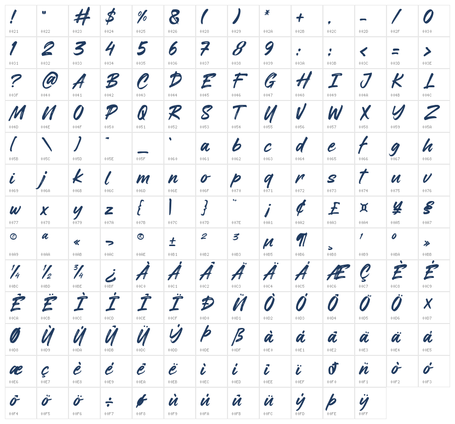 Master of Custom Character Map
