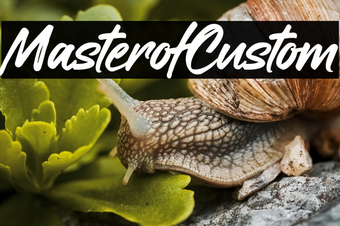 Master of Custom Example 2