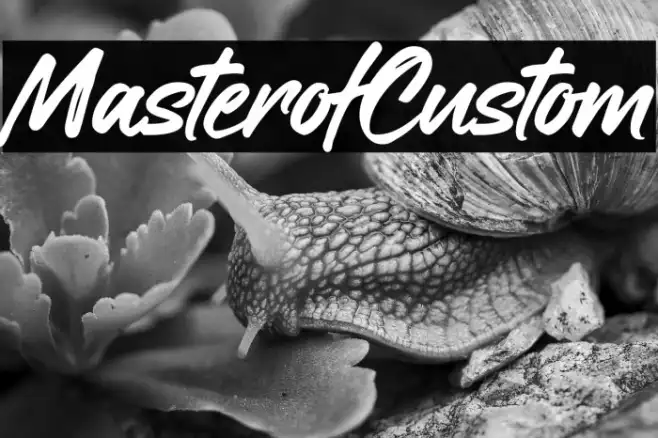 Master of Custom Example 2