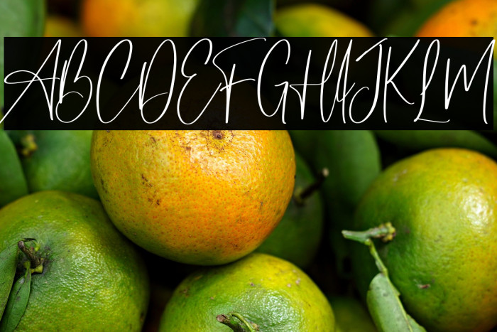 Master of Magic 字体 examples