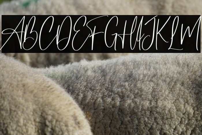 Master of Magic 字体 examples