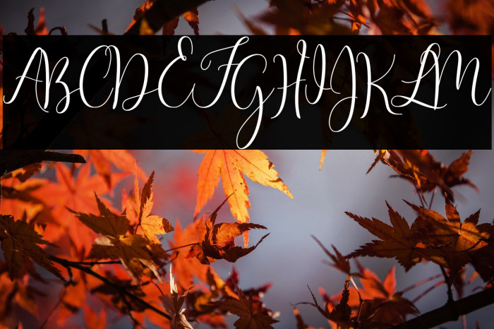 MasterScript Example 2