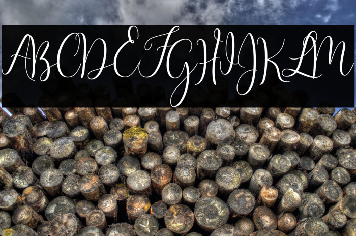 MasterScript Example 1