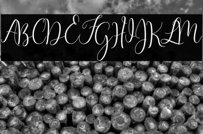 MasterScript Font examples