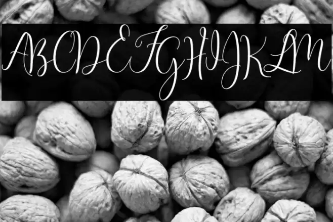 MasterScript Font examples