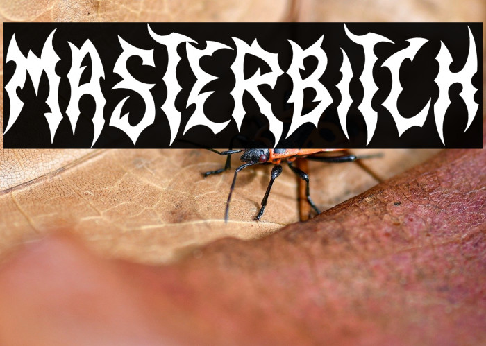 Masterbitch Fonte examples
