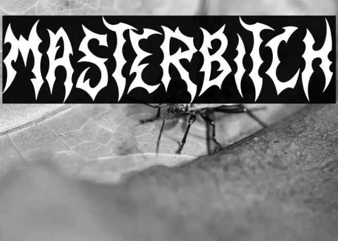 Masterbitch Schriftart examples