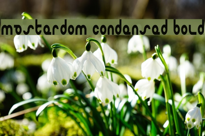 Masterdom Condensed Bold Font examples
