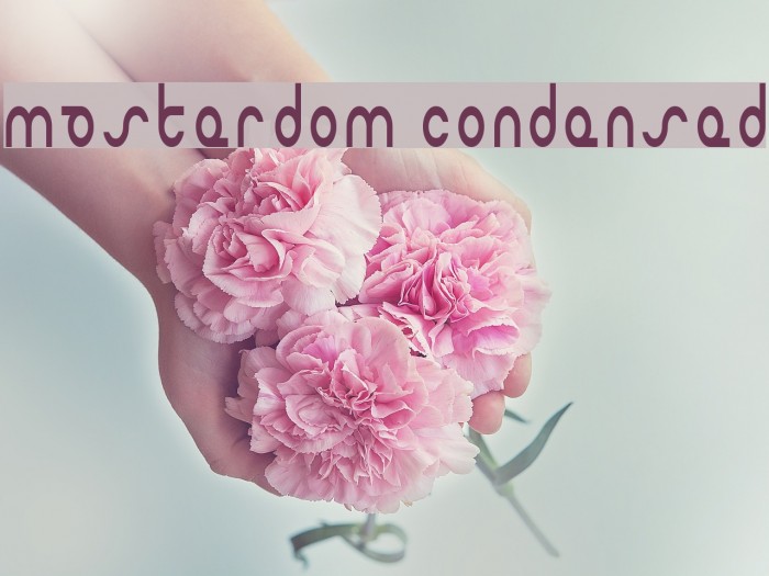 Masterdom Condensed Font examples