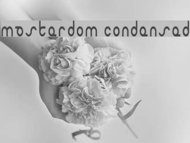 Masterdom Condensed Polices examples