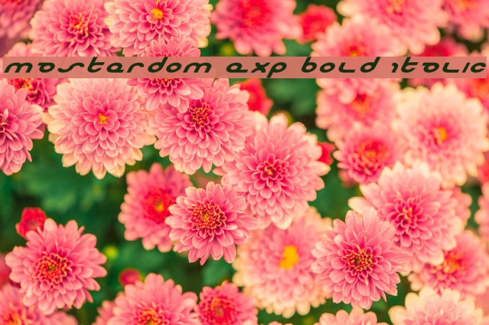 Masterdom Exp Bold Italic Font examples