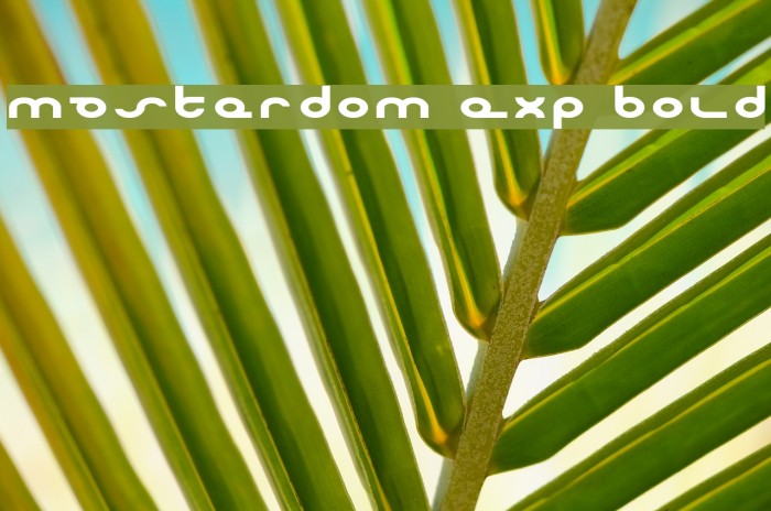 Masterdom Exp Bold Font examples