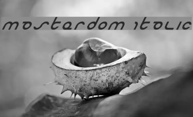 Masterdom Italic Example 2