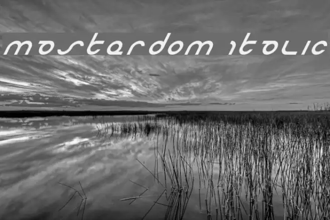 Masterdom Italic Example 3