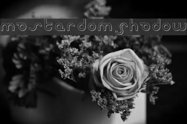 Masterdom Shadow Fuentes examples