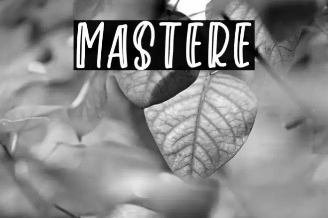 Mastere Font examples