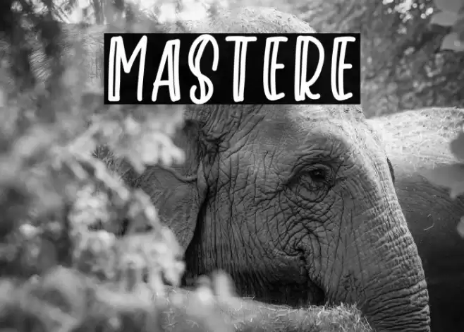 Mastere Font examples
