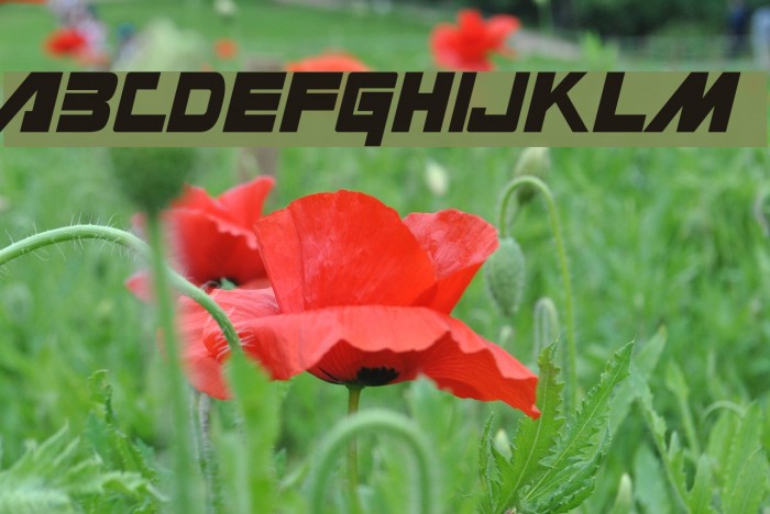Masterforce Solid Font examples