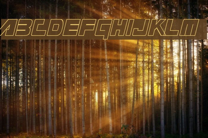 Masterforce Font examples