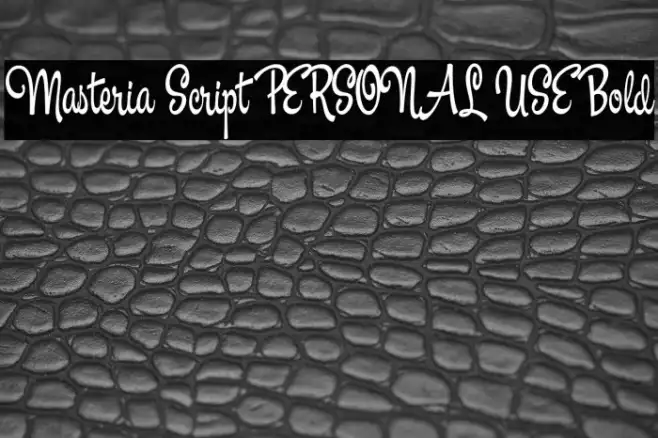 Masteria Script PERSONAL USE Bold Example 2