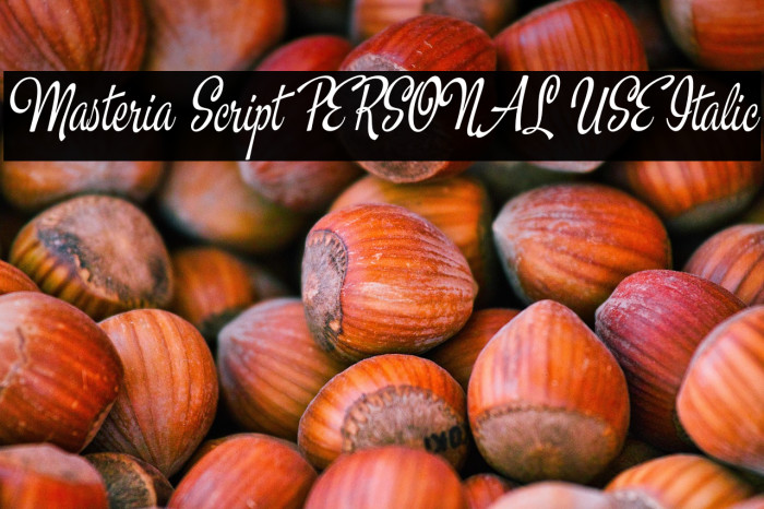 Masteria Script PERSONAL USE Italic Example 3