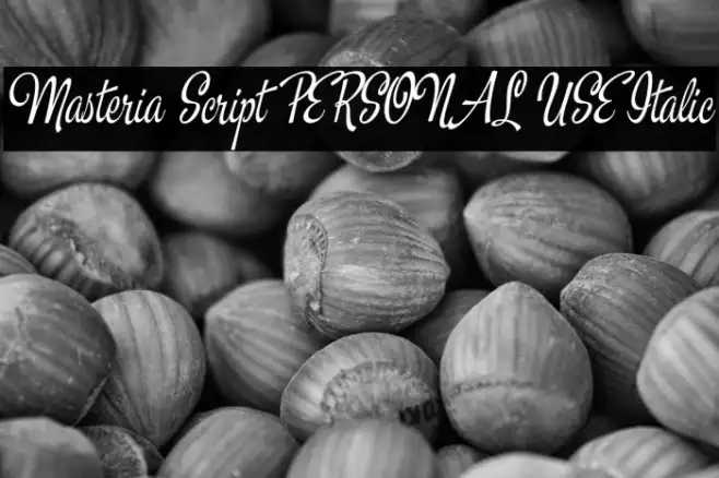 Masteria Script PERSONAL USE Italic Example 3