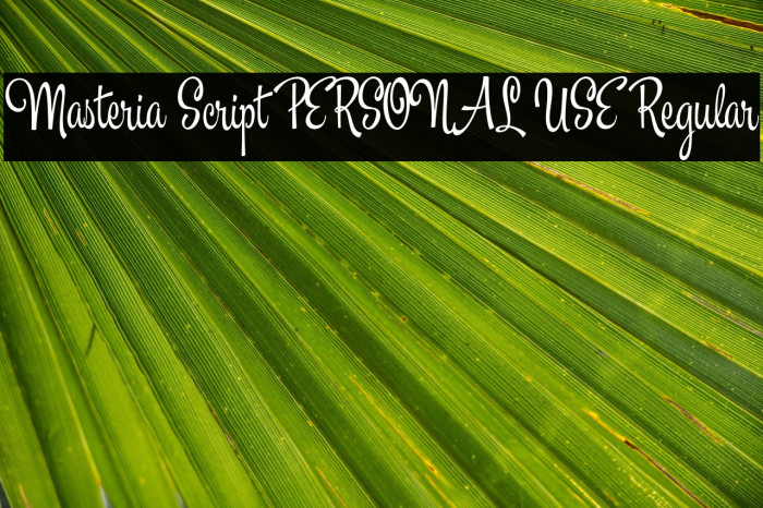 Masteria Script PERSONAL USE Regular Example 2
