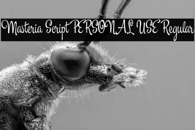 Masteria Script PERSONAL USE Regular Font examples
