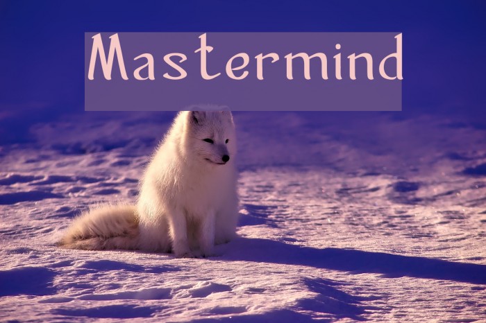 Mastermind フォント examples