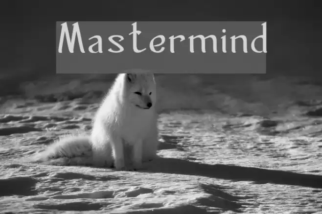 Mastermind フォント examples
