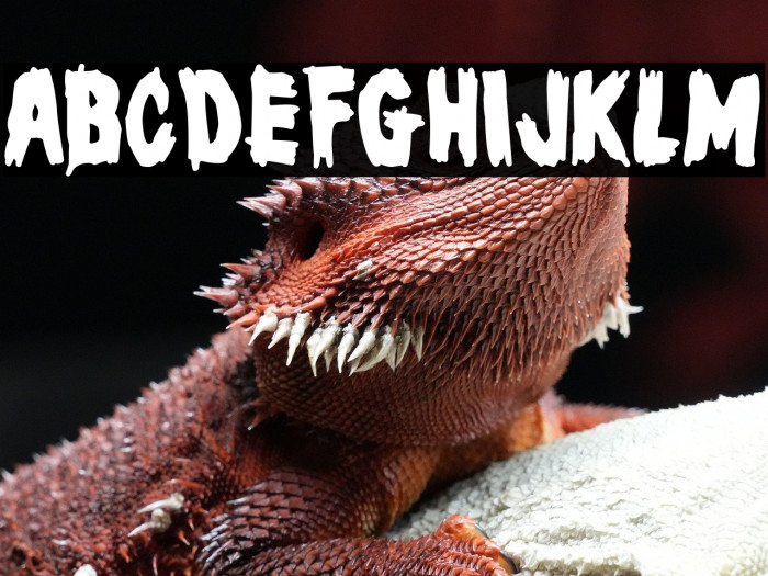 Masters of Horror Example 1