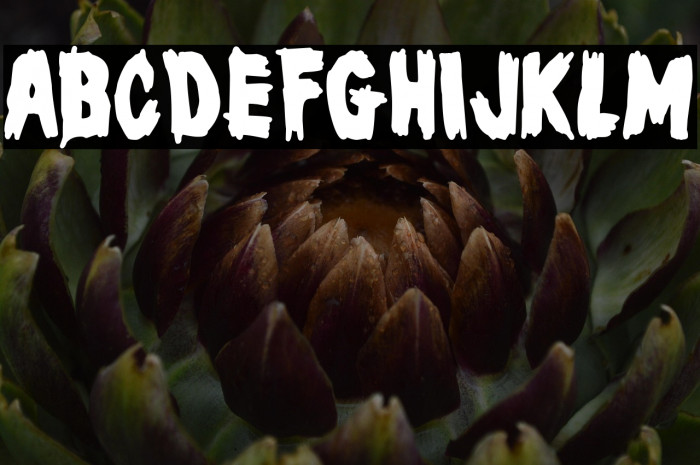 Masters of Horror Example 2