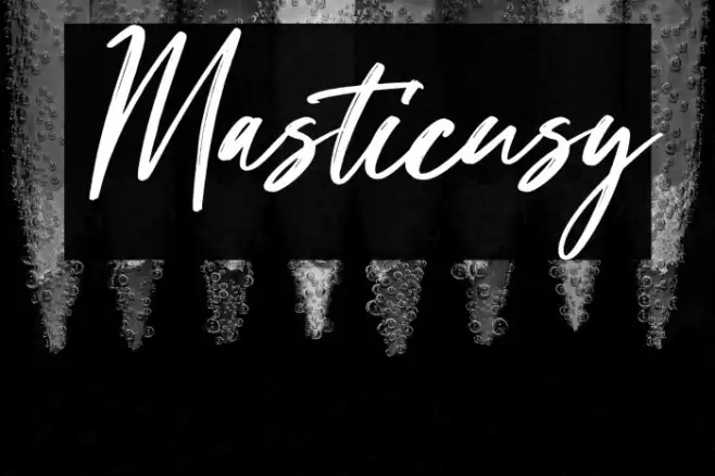 Masticusy Example 1