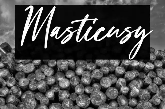 Masticusy Example 2