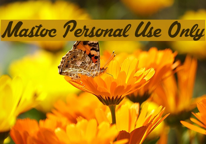 Mastoc Personal Use Only Font examples