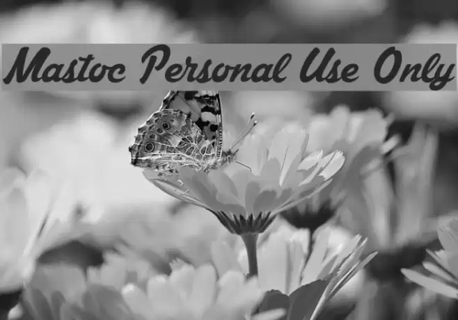 Mastoc Personal Use Only Шрифта examples