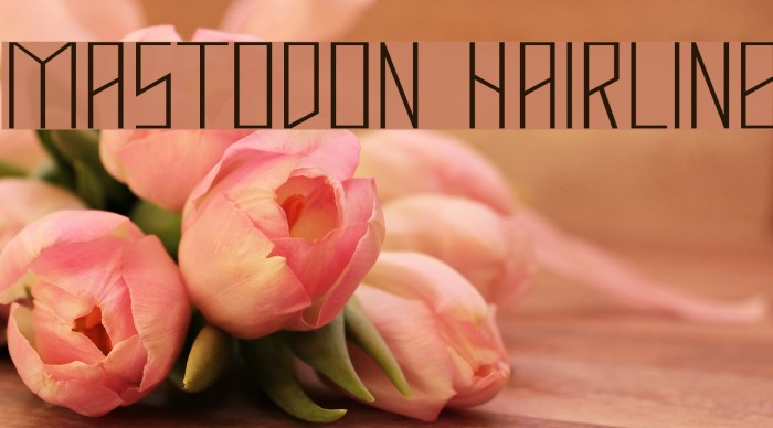 Mastodon Hairline Font examples