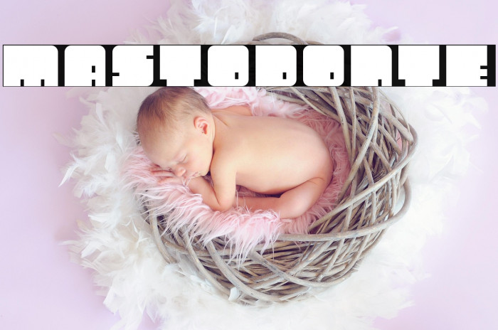 Mastodonte Example 1